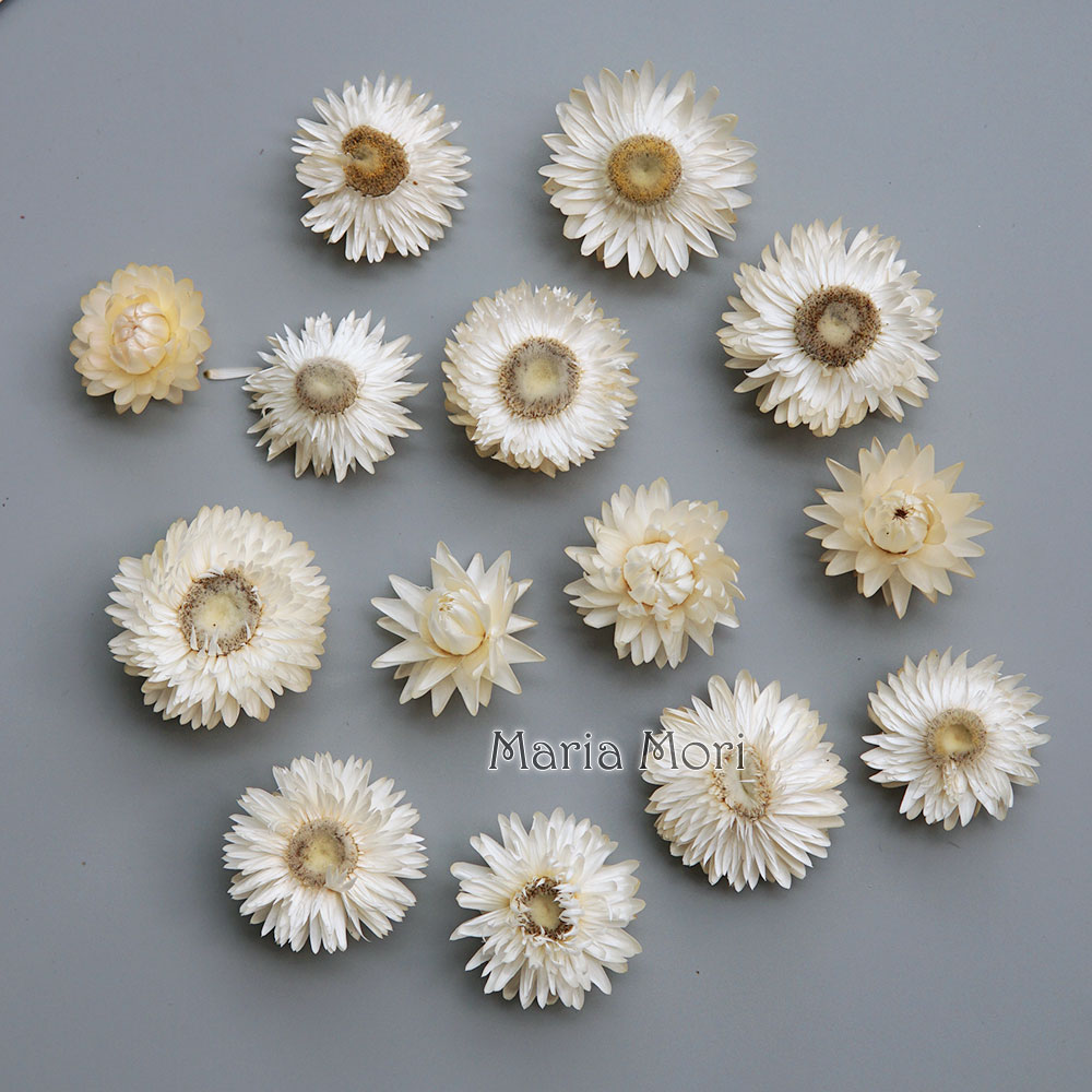天然のドライでカラフルな菊の花輪,手作りのヘアアクセサリー, - Candle Making Supplies のレビューと価格