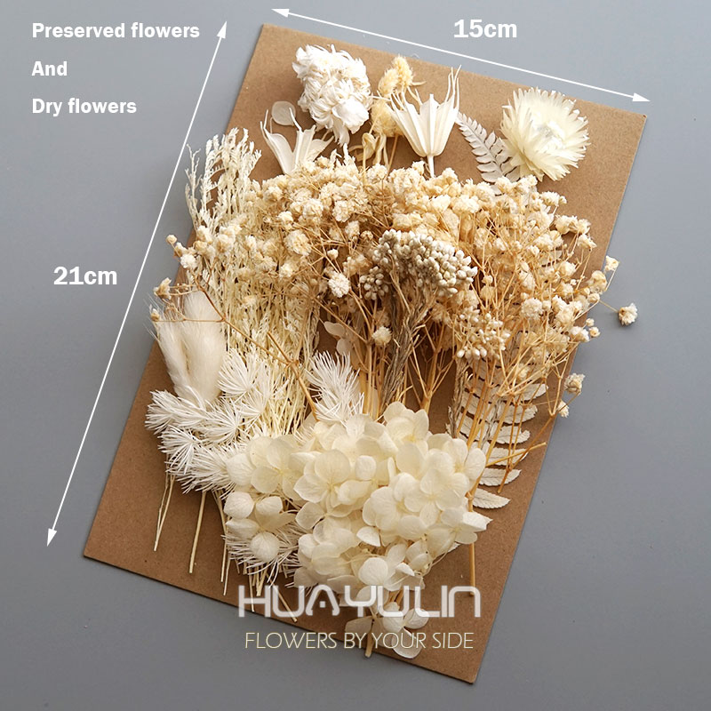 1 パック人工植物ドライ本物の花プリザーブド材料エポキシ樹脂 - Candle Making Products のレビューと価格